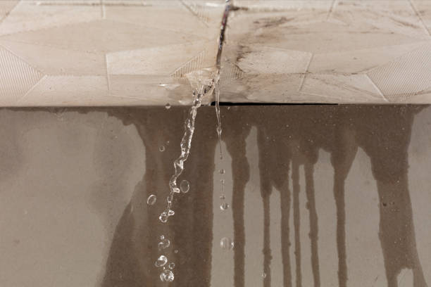 Professional Sewage Cleanup technician working in Lathrop, MO